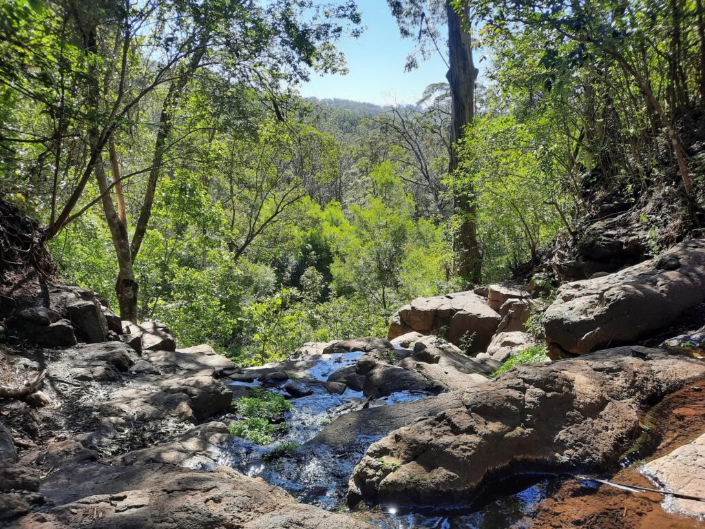 outdoor activities in Highfields - Highfields Falls Bushwalk